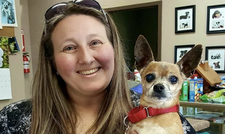 Senior Chihuahua znajduje nowy dom i utrzymuje ukochane nawyki