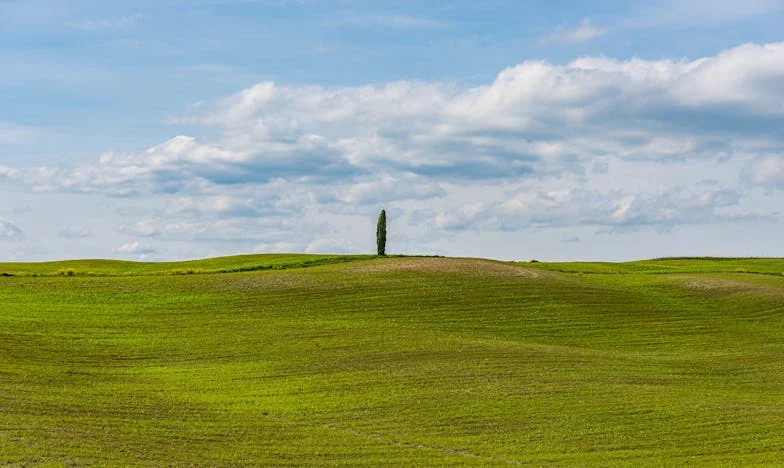 "Przekroczone Granice: Dom Mojego Brata to Nie Twój"